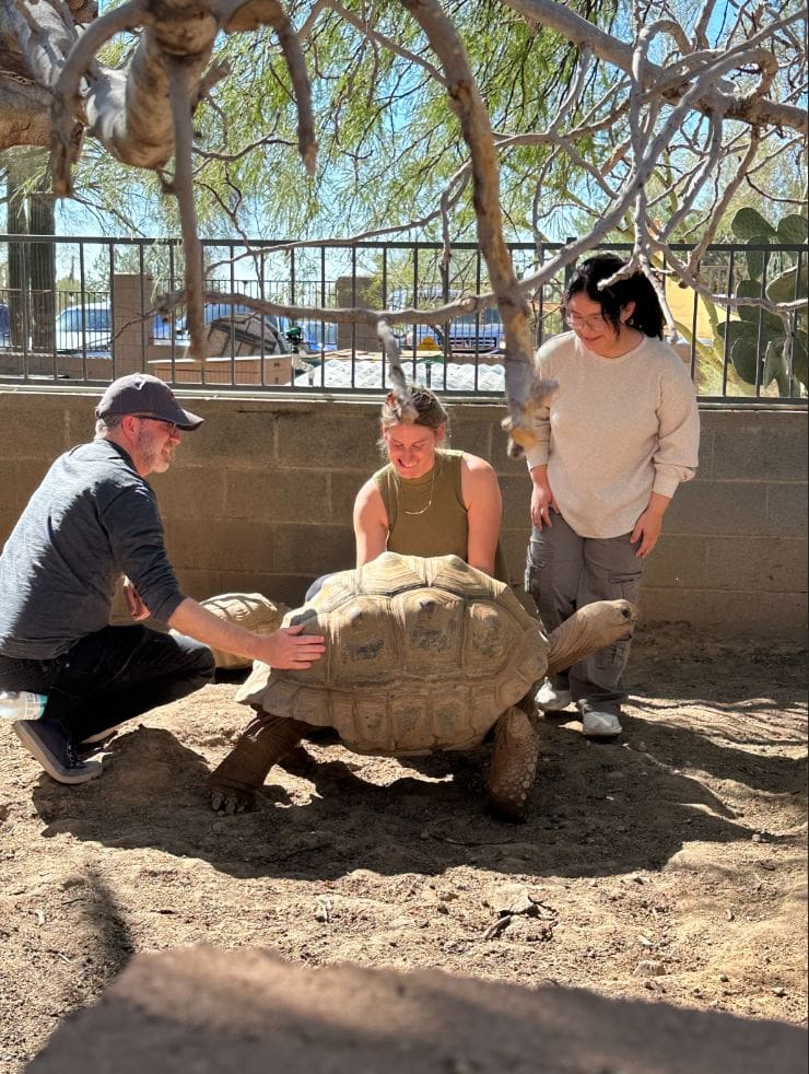 Mentors and youth participants interact with a large tortoise during an outdoor educational field trip, exploring wildlife and nature together.